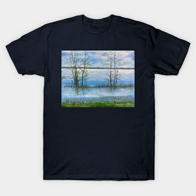 Late April between Montreal and Quebec - Part 2 T-Shirt by artdesrapides